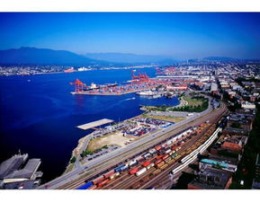 油價重返50美元曙光乍現,頁巖油企業卻要倒在黎明前